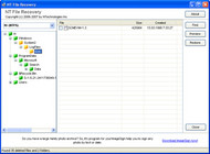 NT File Recovery screenshot